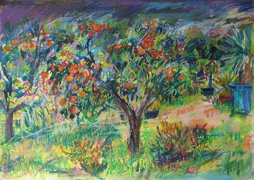 Pfirsichbaum vor der Ernte